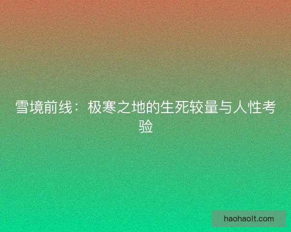 雪境前线：极寒之地的生死较量与人性考验